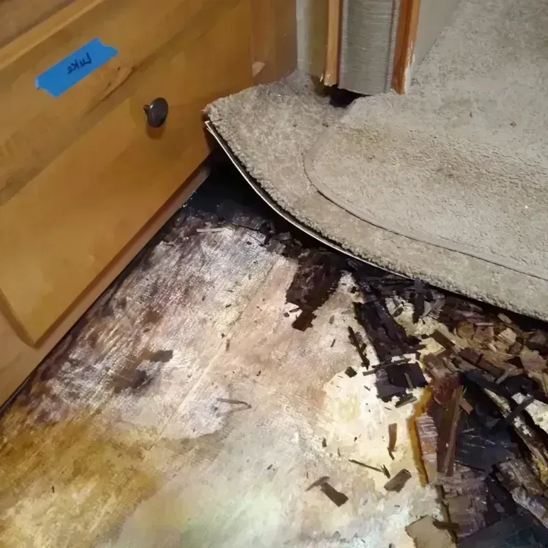 Best Wood Floor Water Damage Service in Perkins, OK